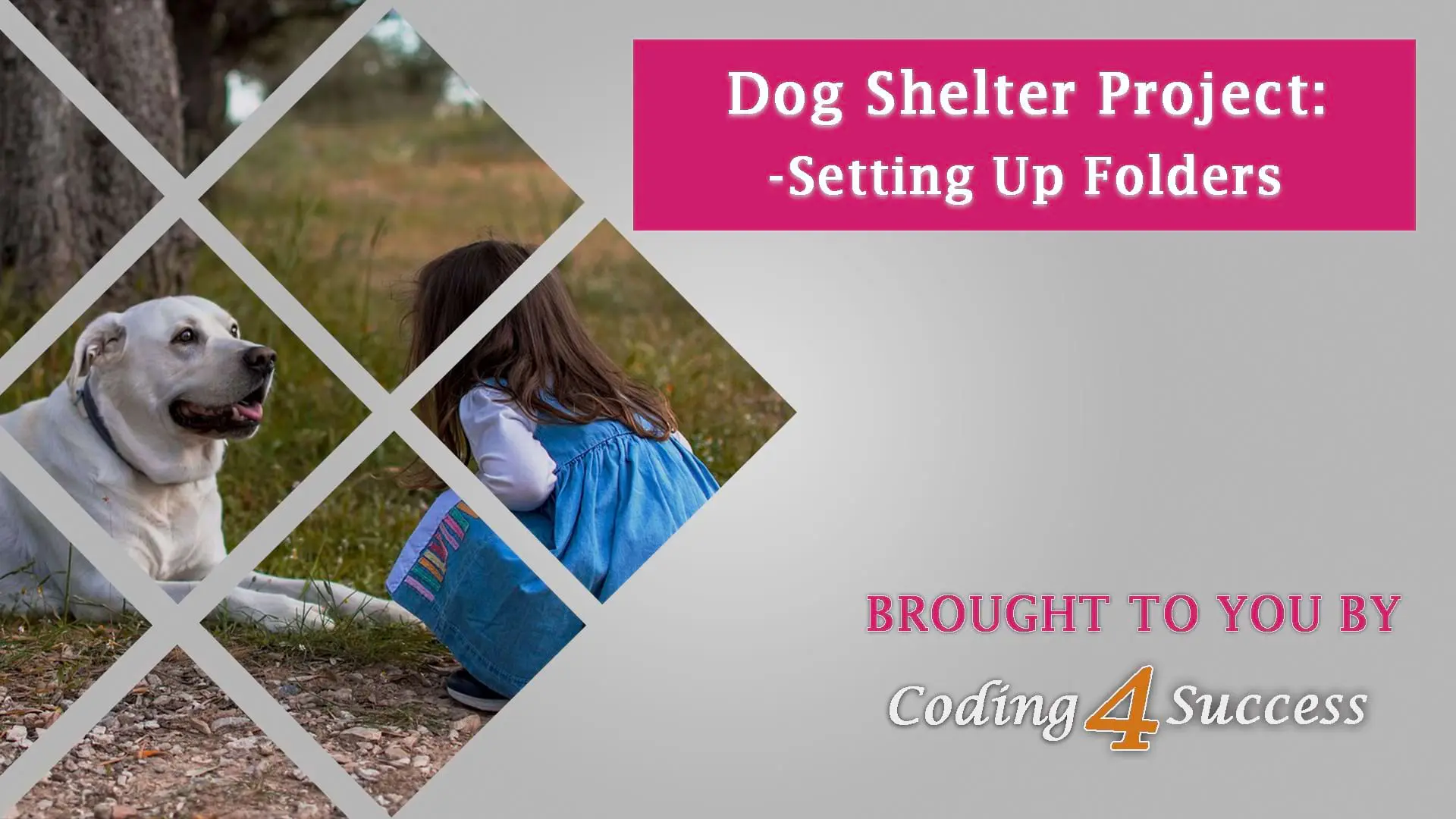 Project-folder-setting